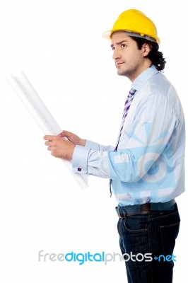 Male Architect With Construction Plan Stock Photo