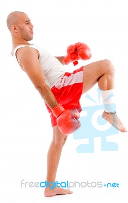 male Boxer In Kicking Pose Stock Photo