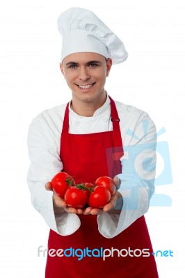 Male Chef Hands Showing Tomatoes Stock Photo