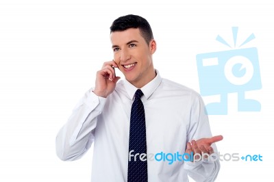 Male Executive  Communicating With Client Stock Photo