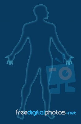 Male Human Anatomy Outline Blue Stock Image