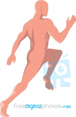 Male Human Anatomy Running Stock Image