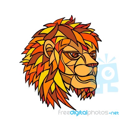 Male Lion Head Mosaic Stock Image