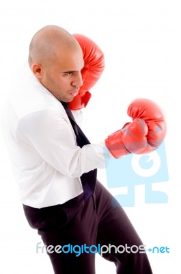 Male Posing In Boxing Gloves Stock Photo