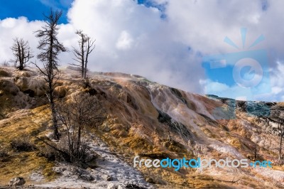 Mammoth Hot Springs Stock Photo