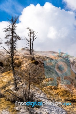 Mammoth Hot Springs Stock Photo