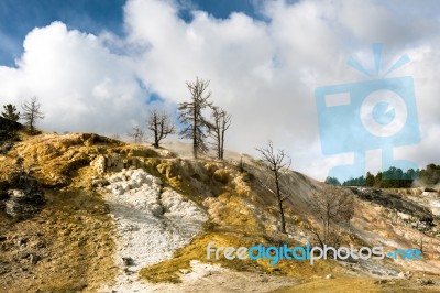 Mammoth Hot Springs Stock Photo