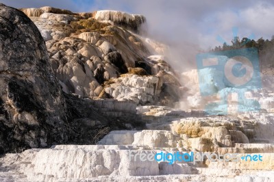 Mammoth Hot Springs Stock Photo