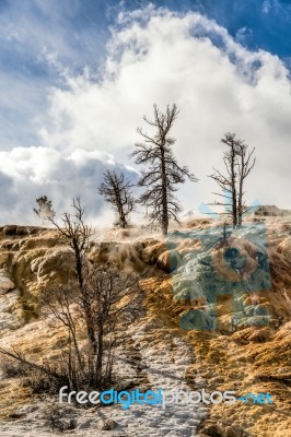 Mammoth Hot Springs Stock Photo