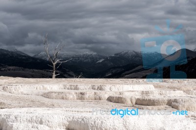 Mammoth Hot Springs Stock Photo