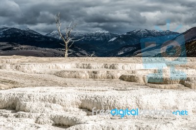 Mammoth Hot Springs Stock Photo