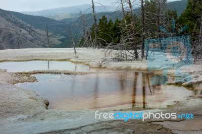 Mammoth Hot Springs Stock Photo