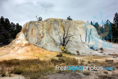 Mammoth Hot Springs Stock Photo