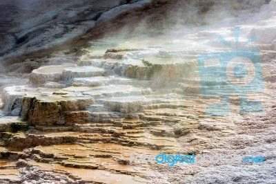 Mammoth Hot Springs Stock Photo