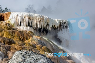 Mammoth Hot Springs Stock Photo