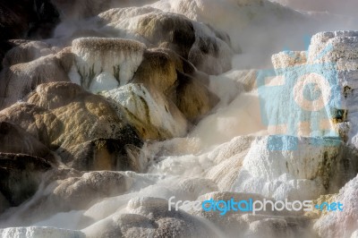 Mammoth Hot Springs Stock Photo