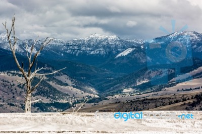 Mammoth Hot Springs Stock Photo