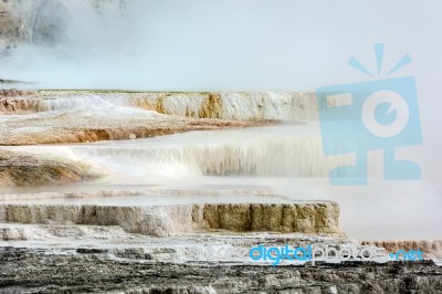 Mammoth Hot Springs Stock Photo