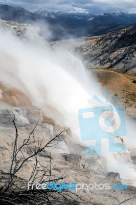 Mammoth Hot Springs Stock Photo