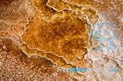 Mammoth Hot Springs Stock Photo