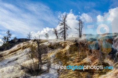 Mammoth Hot Springs In Yellowstone National Park Stock Photo