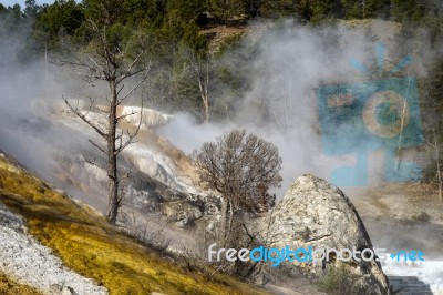 Mammoth Hot Springs In Yellowstone National Park Stock Photo