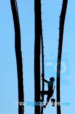 Man Climb Silhouette Stock Photo