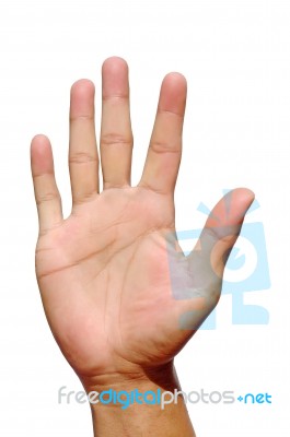 Man Hand Stock Photo