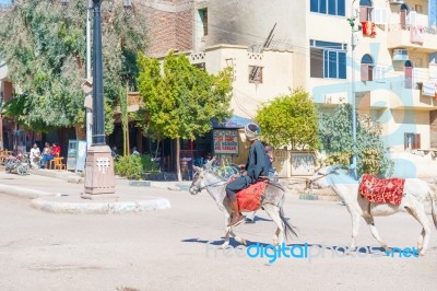 Man On Donkey In Luxor Stock Photo