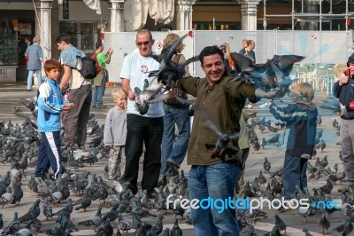 Man Playing With The Pigeons In St Mark's Square  In Venice Stock Photo