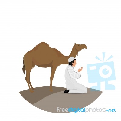 Man Praying And Camel With White Background Stock Image