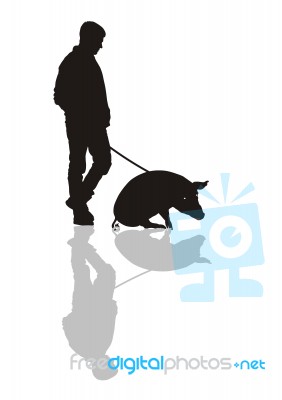 Man With A Pig On A Leash Stock Image