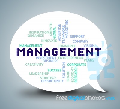 Management Bubble Shows Authority Planning 3d Illustration Stock Image