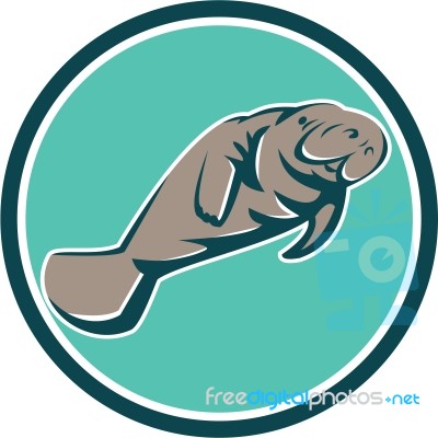 Manatee Sea Cow Circle Retro Stock Image