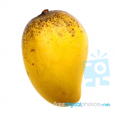 Mango Stock Photo