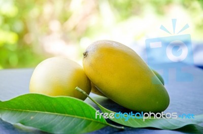 Mango Fruit And Mango Leaves On Dark Table And Wooden Floor Stock Photo