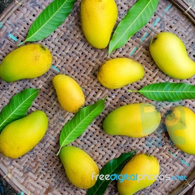 Mango Fruit And Mango Leaves On Dark Table And Wooden Floor Stock Photo