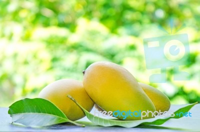 Mango Fruit For Isolated Stock Photo