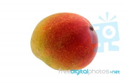 Mango Isolated Stock Photo