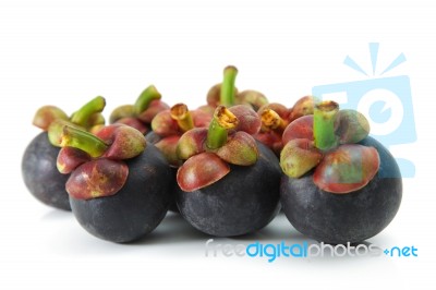 Mangosteen Stock Photo