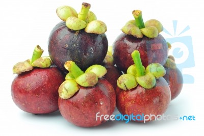 Mangosteen Stock Photo