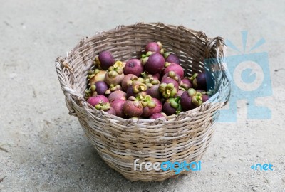 Mangosteen Stock Photo