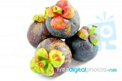 Mangosteen Fruits Stock Photo