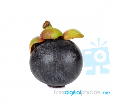 Mangosteen Isolated On The White Background Stock Photo