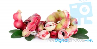 Manila Tamarind Fruit Isolated Stock Photo