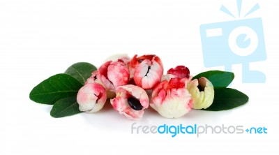 Manila Tamarind Fruit Isolated On White Background Stock Photo