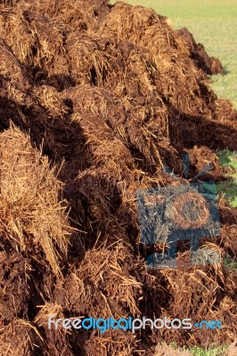 Manure For Organic Farming Stock Photo