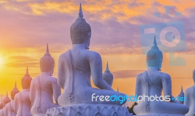 Many Buddha Statue Stock Photo