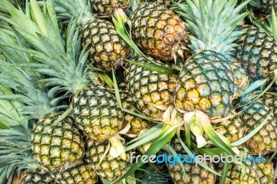 Many Fresh Pineapple Background Stock Photo