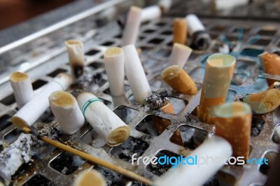 Many Left Smoked Cigarette Butts Fag-end In Ashtray On No Smoking Day Stock Photo